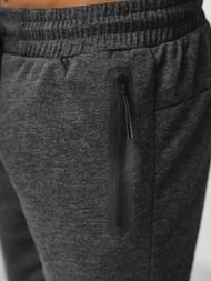 Herren Sportshorts Anthrazit OZONEE JS/17K533/5