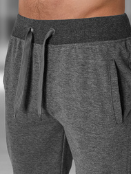 Herren Sportshorts Anthrazit OZONEE JS/XW07/5Z