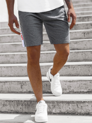 Herren Shorts Anthrazit OZONEE JS/KS2501