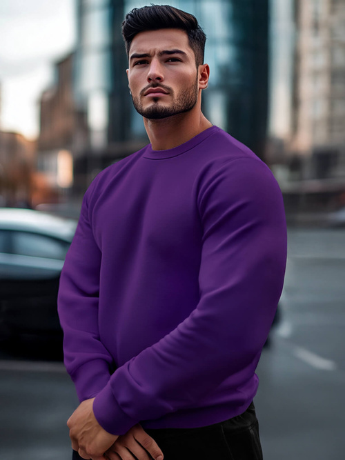 Herren Sweatshirt Violett OZONEE JS/2001-10Z