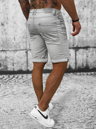 Herren Shorts Grau OZONEE O/23000