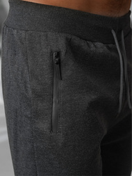 Herren Sporthose Anthrazit OZONEE JS/15K1835/5