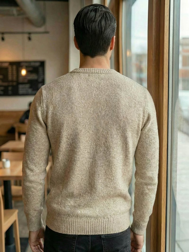 Herren Pullover Beige OZONEE JS/59B3607/155